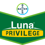 Luna Privilege