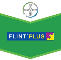 Flint Plus: A nova confiança no controlo do pedrado!