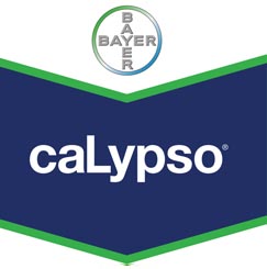 Calypso: Um virar de página no controlo da psila