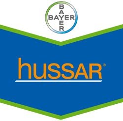 Hussar: Sucesso Mundial Comprovado