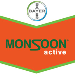 Monsoon Active: o herbicida que sempre desejou!
