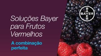 BAYER apresentou um leque de Soluções Integradas junto a produtores de Frutos Vermelhos do Litoral Alentejano.
