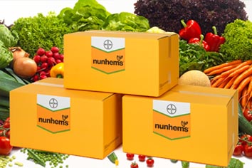 Nunhems: Bayer CropScience Vegetable Seeds