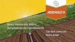 Adengo: novo herbicida milho!