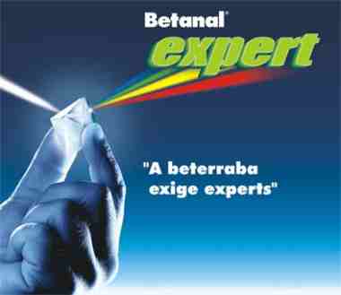 Betanal Expert