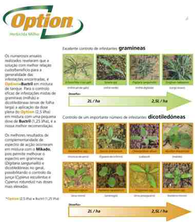 OPTION - Novo herbicida Milho!