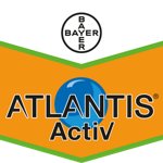 Atlantis Activ