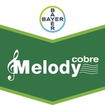 Melody Cobre