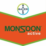 MonSoon Active