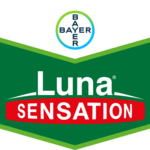 Luna Sensation