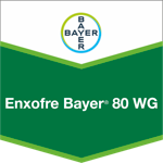 Enxofre Bayer 80 WG