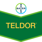 Teldor SC