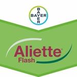 Aliette Flash